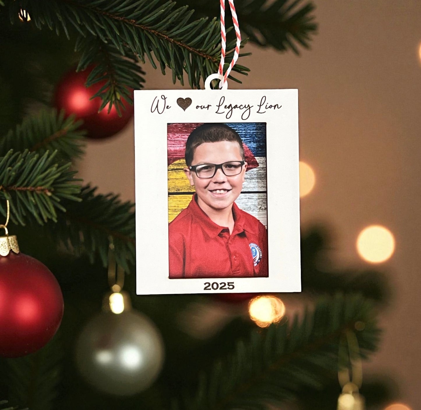 American Legacy Academy Ornaments