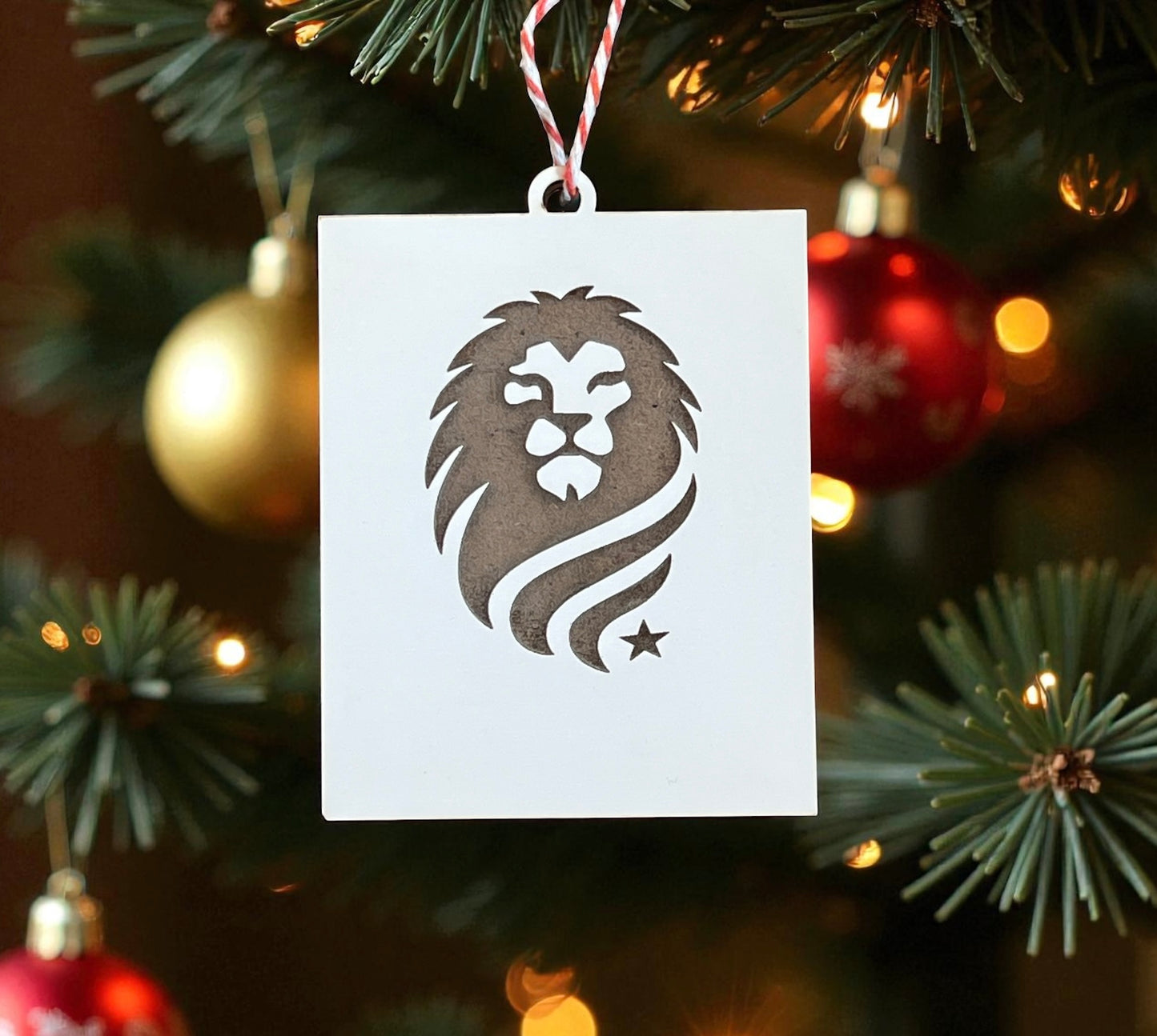 American Legacy Academy Ornaments